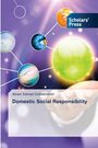 Akram Sahraei Dolkatkhaneh: Domestic Social Responsibility, Buch