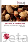 Aesculus macrostachya, Buch