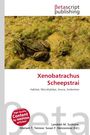 Text: "Xenobatrachus Scheepstrai", "Habitat, Microhylidae, Anura, Endemism". Frosch auf sumpfigem Boden, "Betascript publishing" Logo.