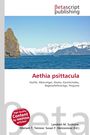 "Aethia psittacula, Pazifik, Alkenvögel, Alaska, Kamtschatka. Meer mit Felsen links, dahinter schneebedeckte Berge."
