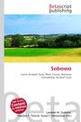 Text: Betascript Publishing, Sobowo, Gmina Brudzeń Duży. 

Landschaftlich grüne Felder und ein bewölkter blauer Himmel.