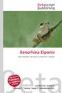 "Xenorhina Eiponis" in Rot; "Microhylidae, Montane, Endemism, Habitat" darunter. Frosch auf einem grünen Hintergrund.