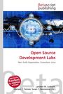 "Open Source Development Labs: Non-Profit Organization, Consortium, Linux." Blaues Tech-Design, rot-schwarzes Logo oben.