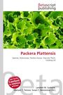 "Packera Plattensis: Species, Asteraceae, Packera Aurea, Vascular Plant, Cooking Oil." Oben grünes Salatblattmuster.