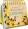 : All you need is sunshine, Buch