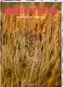 Holger Haag: Unsichtbar, Buch