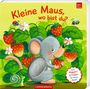 : Mein erstes Guckloch-Fühlbuch: Kleine Maus, wo bist du?, Buch