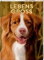 Texte: "LEBENS GROSS", "COPPENRATH". Ein lächelnder Hund mit braun-weißem Fell, vor unscharfem, natürlichem Hintergrund.