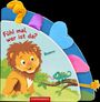 Sandra Grimm: Fühl mal, wer ist da? Roarrr, Buch