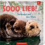 "Sooo lieb! Tierkinder und ihre Eltern." Zwei Otter, kuschelnd im Wasser. Oben rechts 18+ Monate.
