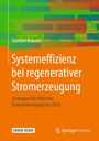 Günther Brauner: Systemeffizienz bei regenerativer Stromerzeugung, Buch