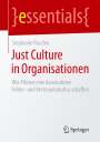 Stephanie Rascher: Just Culture in Organisationen, Buch