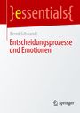 Bernd Schwandt: Entscheidungsprozesse und Emotionen, Buch