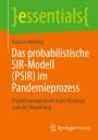 Marcus Hellwig: Das probabilistische SIR-Modell (PSIR) im Pandemieprozess, Buch