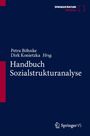 Handbuch Sozialstrukturanalyse, Buch