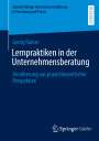Georg Rainer: Lernpraktiken in der Unternehmensberatung, Buch