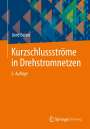 Gerd Balzer: Kurzschlussströme in Drehstromnetzen, Buch