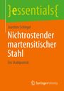 Joachim Schlegel: Nichtrostender martensitischer Stahl, Buch