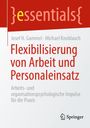 Josef H. Gammel: Flexibilisierung von Arbeit und Personaleinsatz, Buch