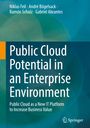 Niklas Feil: Public Cloud Potential in an Enterprise Environment, Buch