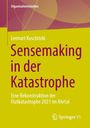 Lennart Koschitzki: Sensemaking in der Katastrophe, Buch