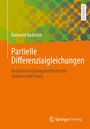 Raimund Ruderich: Partielle Differenzialgleichungen, Buch