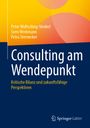 Peter Wollsching-Strobel: Consulting am Wendepunkt, Buch