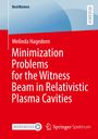 Melinda Hagedorn: Minimization Problems for the Witness Beam in Relativistic Plasma Cavities, Buch