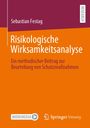 Sebastian Festag: Risikologische Wirksamkeitsanalyse, Buch