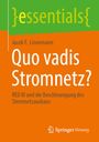 Jacob F. Linnemann: Quo vadis Stromnetz?, Buch