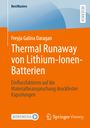 Freyja Galina Daragan: Thermal Runaway von Lithium-Ionen-Batterien, Buch