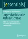 Hartwin Maas: Jugendwahlstudie Ostdeutschland, Buch