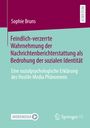 Sophie Bruns: Feindlich-verzerrte Wahrnehmung der Nachrichtenberichterstattung als Bedrohung der sozialen Identität, Buch