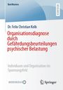 Felix Christian Kolb: Organisationsdiagnose durch Gefährdungsbeurteilungen psychischer Belastung, Buch