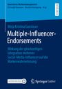 Mirja Kristina Gansloser: Multiple-Influencer-Endorsements, Buch
