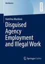 Kate¿ina Musilová: Disguised Agency Employment and Illegal Work, Buch
