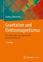 Andreas Malcherek: Gravitation und Elektromagnetismus, Buch