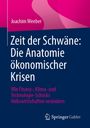 Joachim Weeber: Zeit der Schwäne: Die Anatomie ökonomischer Krisen, Buch