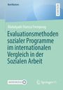 Abdulqadir Hamza Frempong: Evaluationsmethoden sozialer Programme im internationalen Vergleich in der Sozialen Arbeit, Buch