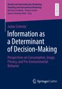 Titel: "Information as a Determinant of Decision-Making". Schlichtes, zweifarbiges Cover. Springer-Logo unten.