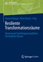 Resiliente Transformationsräume, Buch