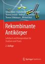 Stefan Dübel: Rekombinante Antikörper, Buch