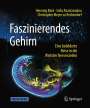 Henning Beck: Faszinierendes Gehirn, Buch,EPB