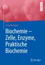 Freya Harmjanz: Biochemie - Zelle, Enzyme, Praktische Biochemie, Buch