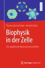 Thomas Bornschlögl: Biophysik in der Zelle, Buch