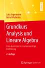 Lutz Angermann: Grundkurs Analysis und Lineare Algebra, Buch