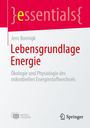 Jens Boenigk: Lebensgrundlage Energie, Buch,EPB