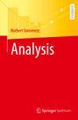 Norbert Steinmetz: Analysis, Buch