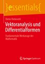 Dieter Riebesehl: Vektoranalysis und Differentialformen, Buch