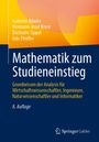 Hermann-Josef Kruse: Mathematik zum Studieneinstieg, Buch